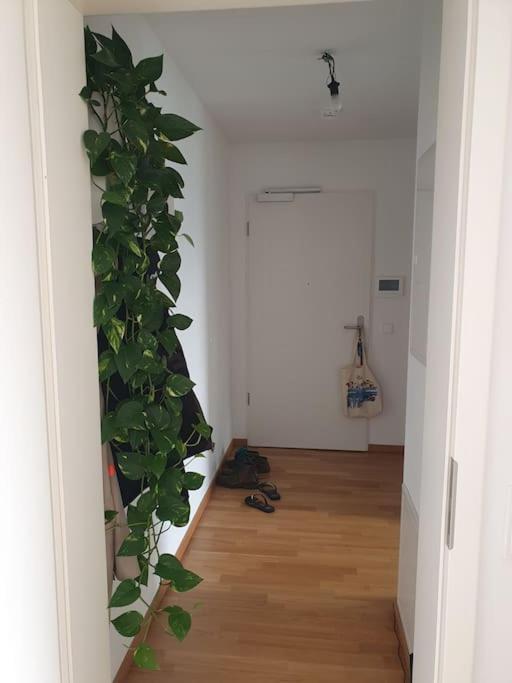 Apartment Cozy Flat In Mitte. Berlin